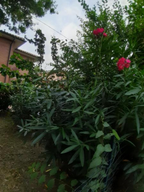 PIAZZOLA Camp Gio